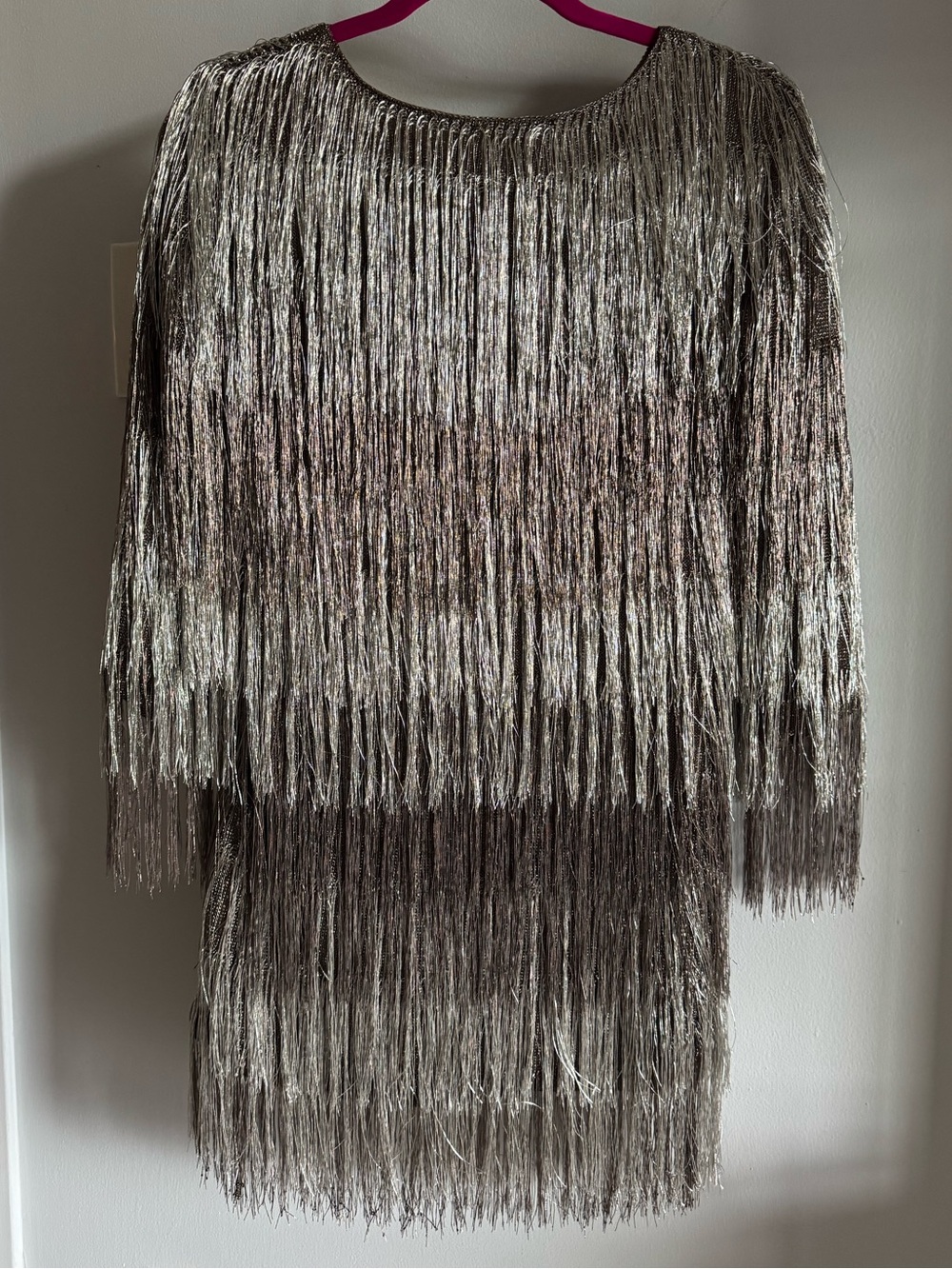 Rachel Zoe Free People Ballina Platinum Metallic Fringe Flapper Mini Dress XS - Picture 7 of 10